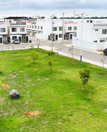 Parques