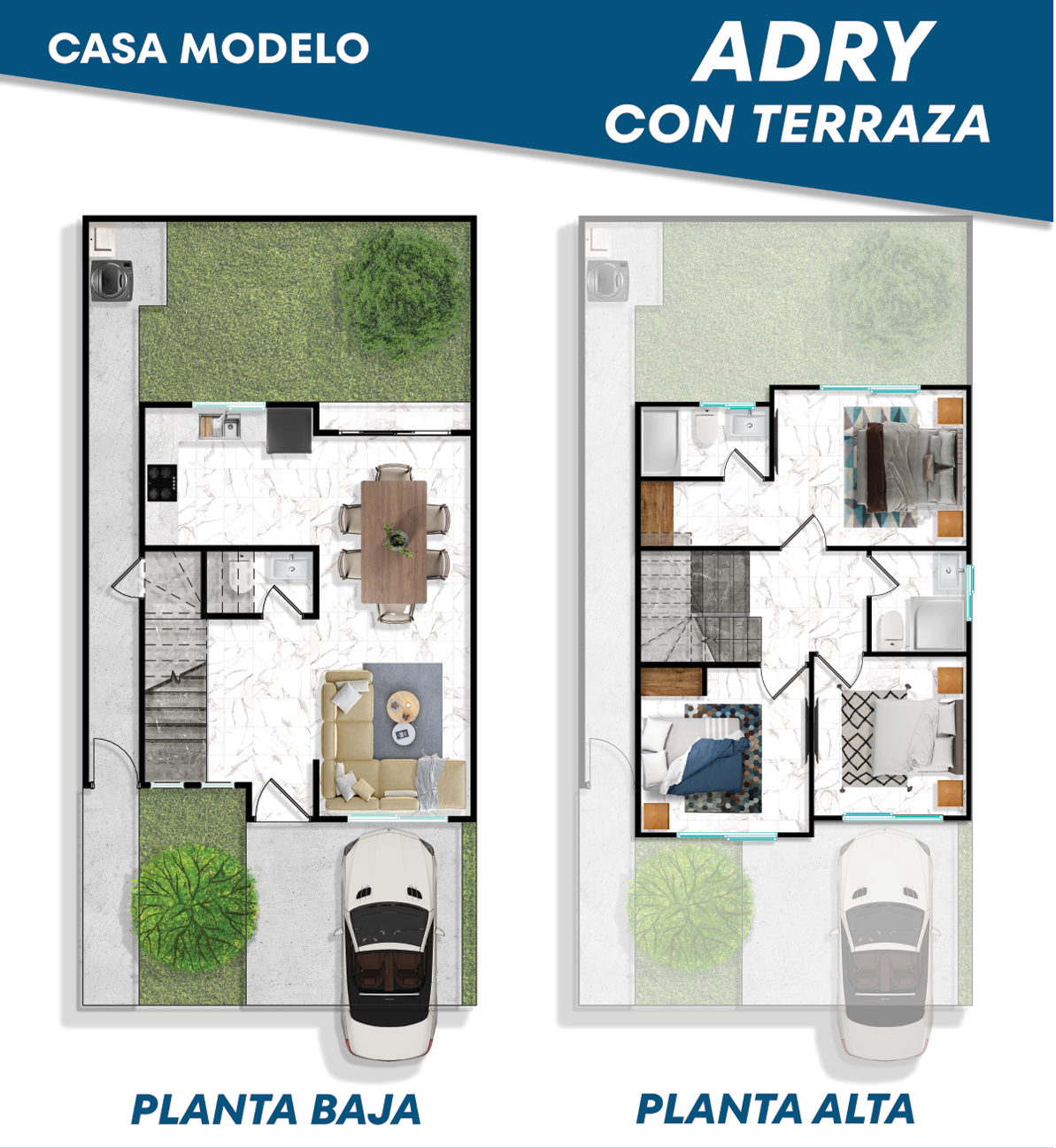 Planta Baja / Planta Alta
