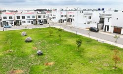 Parques